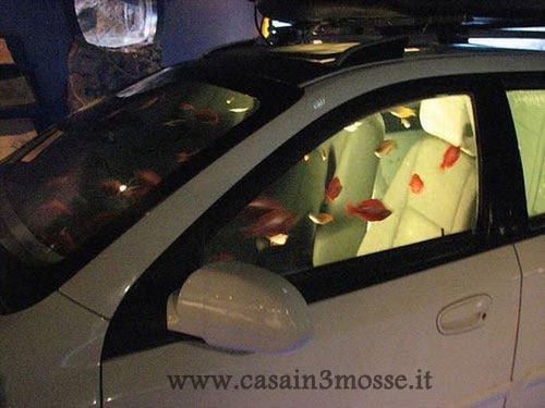 casain3mosse - automobile acquario1.jpg